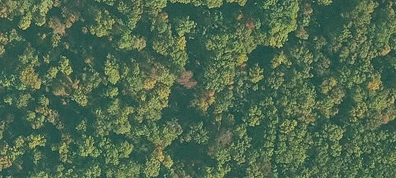 Woods Ldg Rd