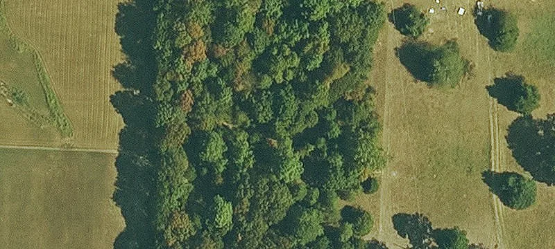 Justice Rd