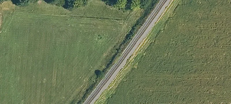 Rector, AR 72461