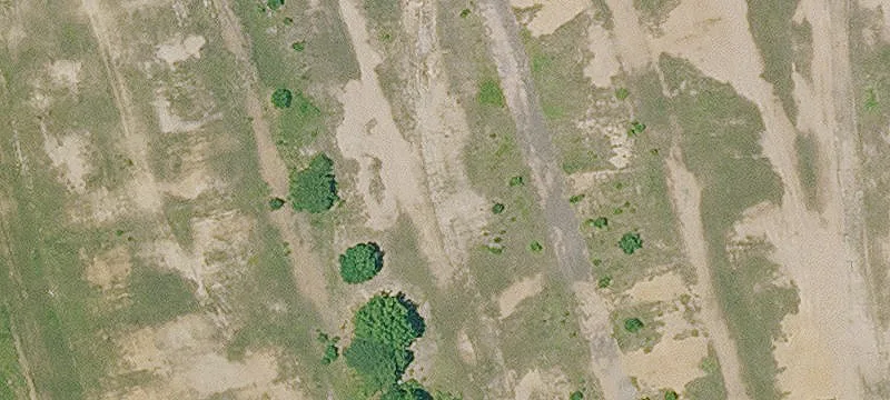 Dogtown Rd