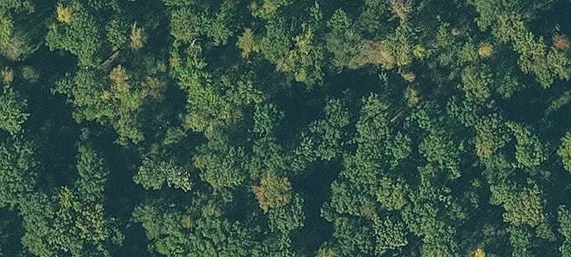 Hwy 25