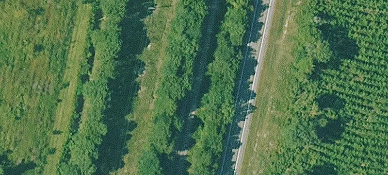Bradley, AR 71826