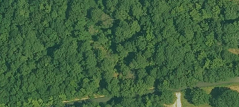 7645 Hwy 270