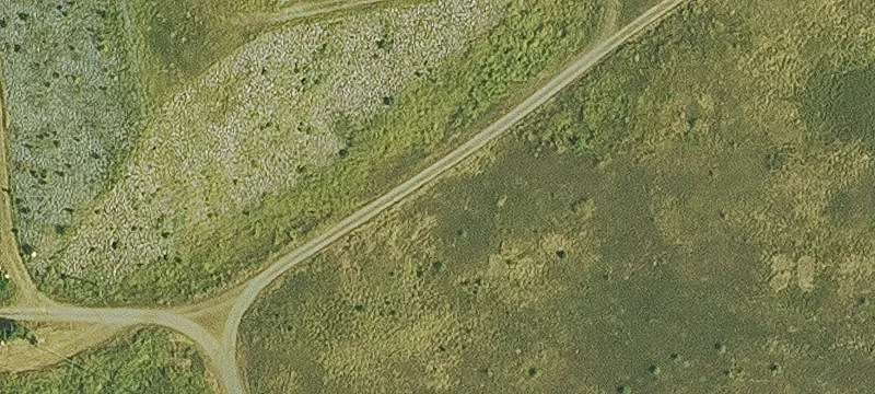 Marshall Rd