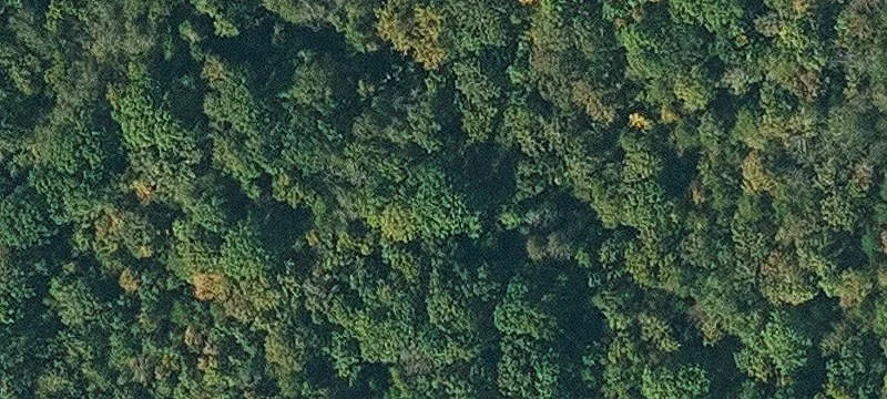 Imboden, AR 72434