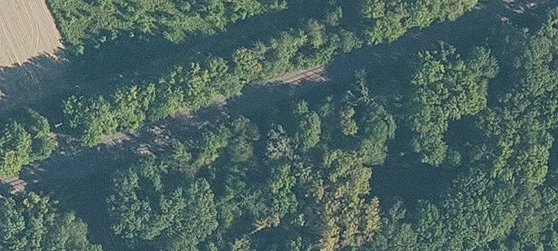 Forrest City, AR 72335