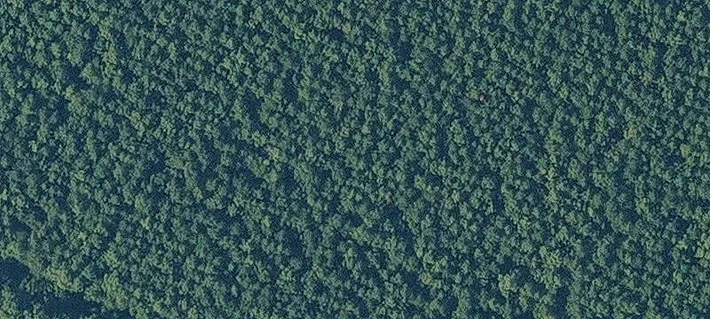 Newark, AR 72562