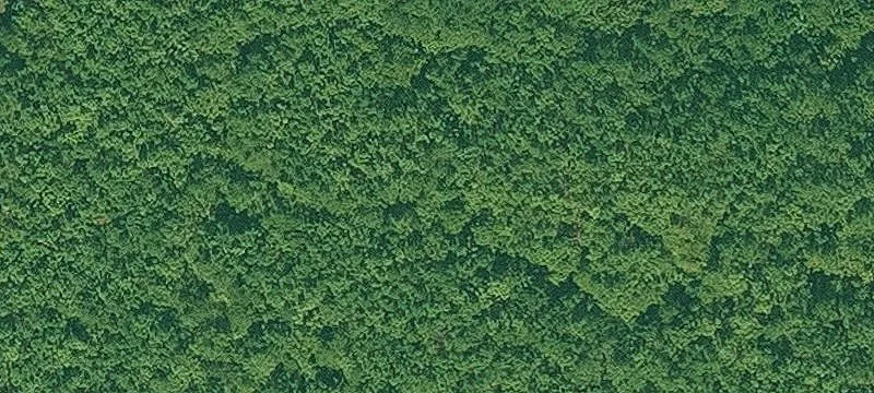 Redfield, AR 72132