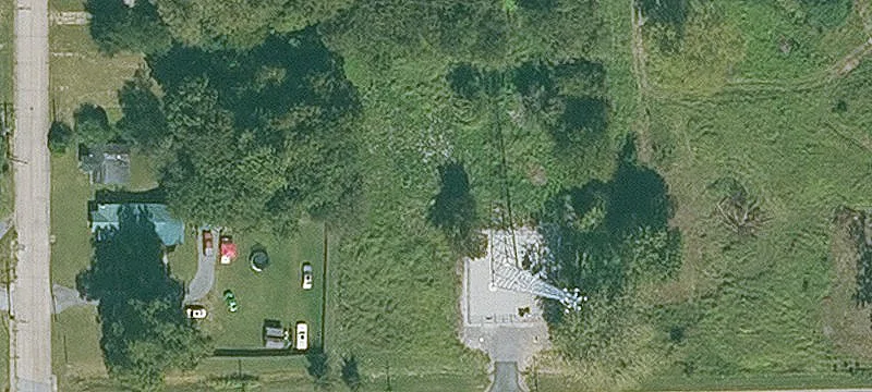 Sycamore