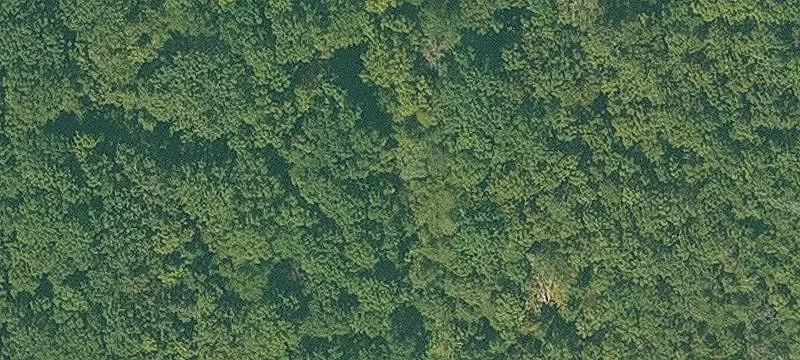 Hackett, AR 72937