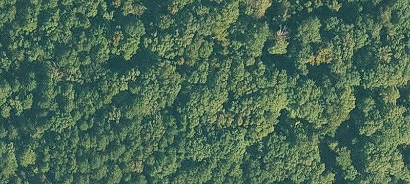 Eureka Springs, AR 72632