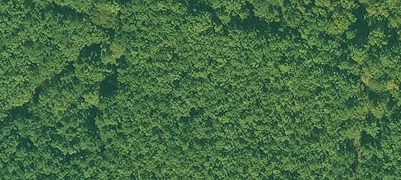 Redfield, AR 72132