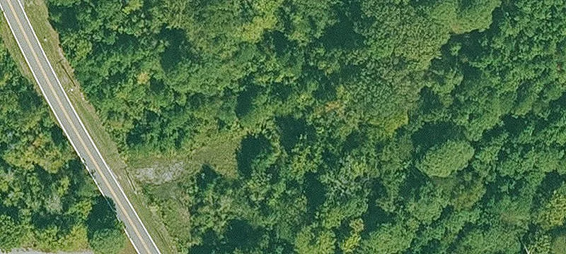 Mcdonald Rd