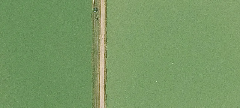 Dumas, AR 71639