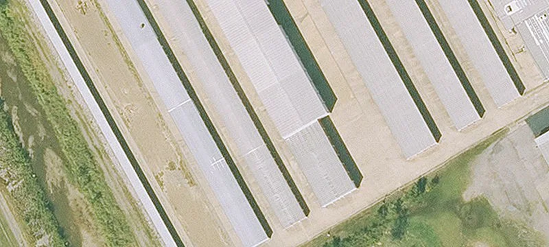 6408 Hwy 71st S