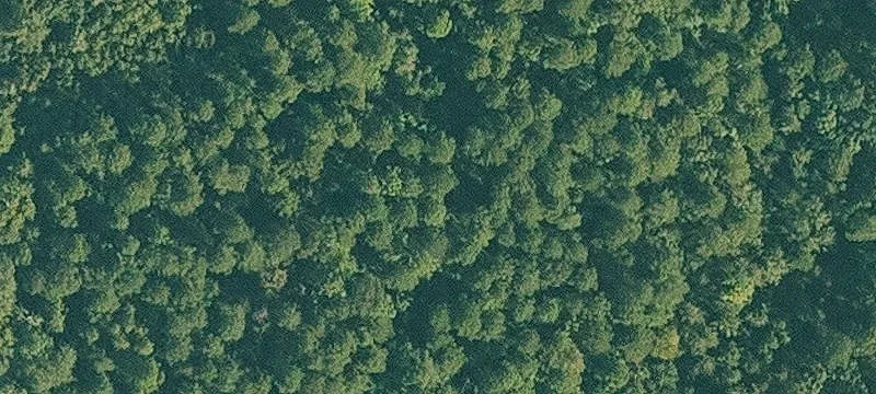 Ozark, AR 72949