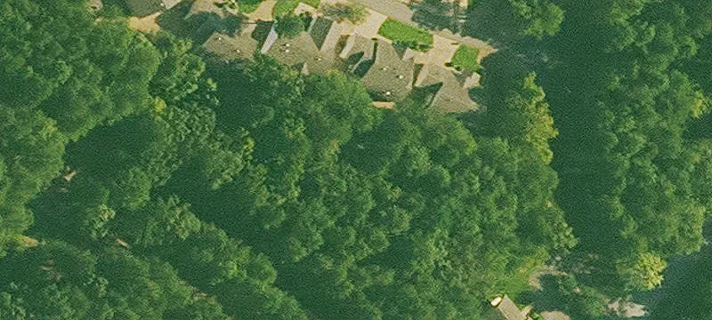 Cmn Property