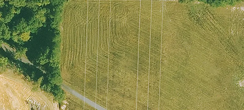 Thompson Farm Rd