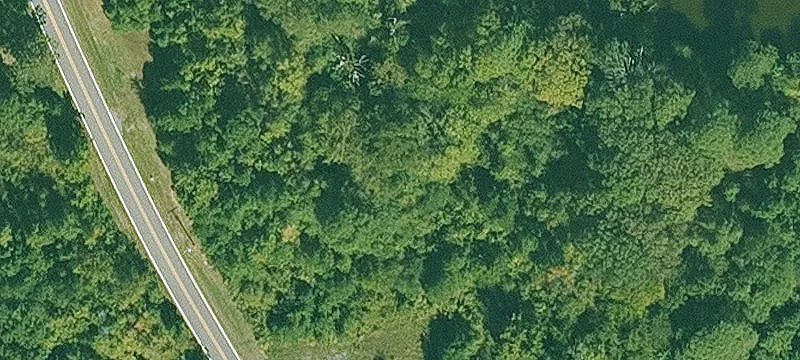 Mcdonald Rd