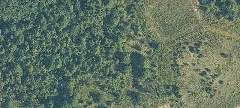Forrest City, AR 72335