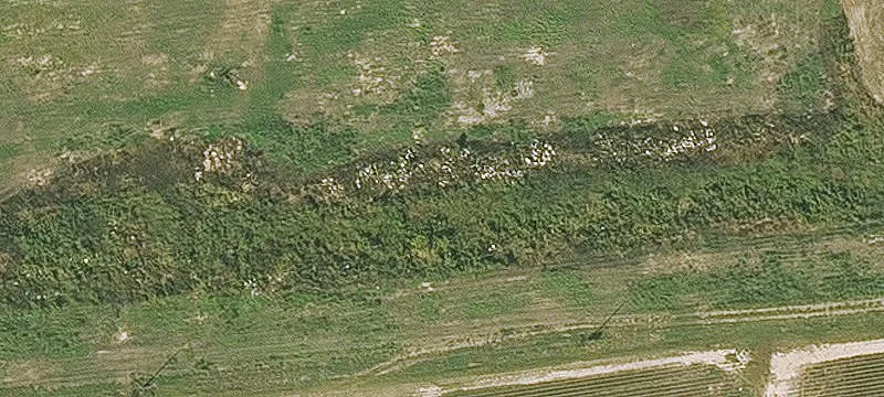 Dumas, AR 71639