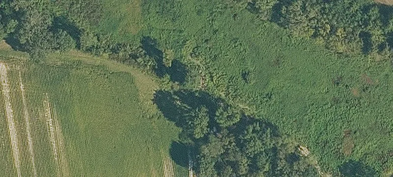 Palestine, AR 72372