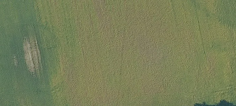 Palestine, AR 72372
