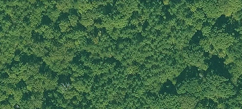 Redfield, AR 72132