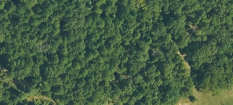 Violet Hill, AR 72584