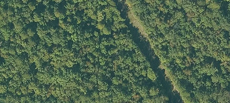 14933 Old Lowery Rd