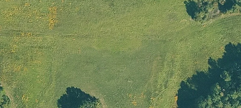 11811 Highway 248