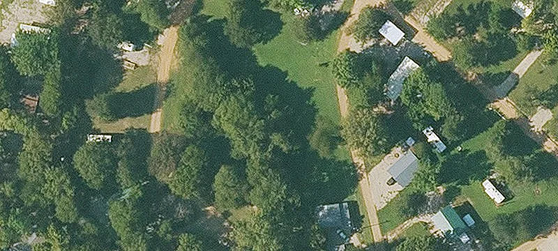 Cedar