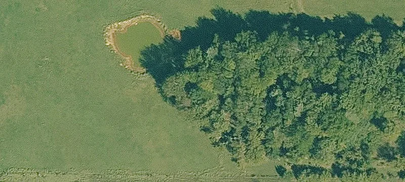 Branch, AR 72928