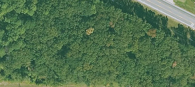 White Hall, AR 71602