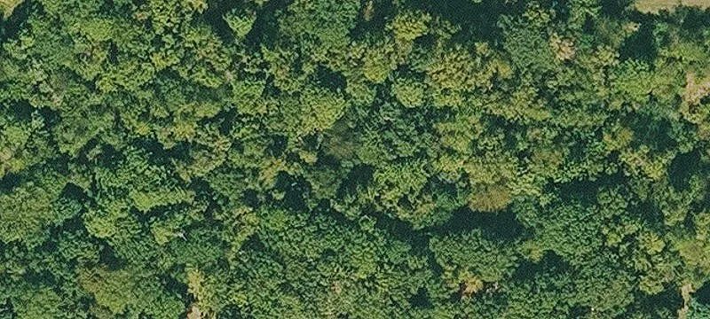 Atkins, AR 72823
