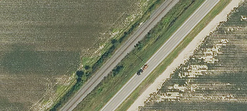Rector, AR 72461