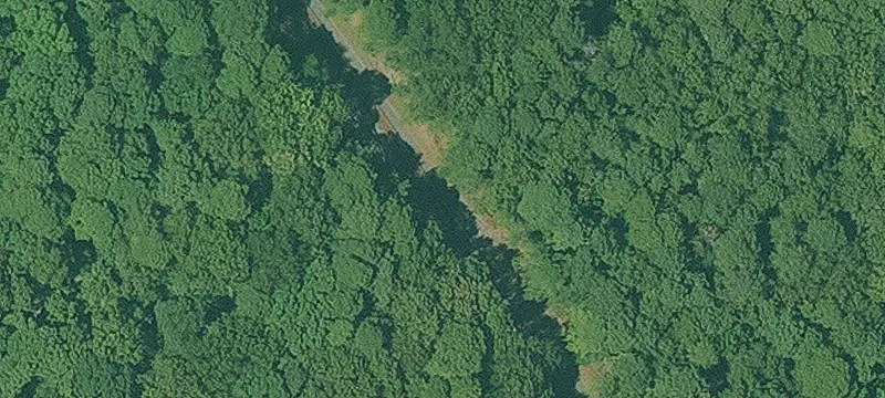 Winthrop, AR 71866