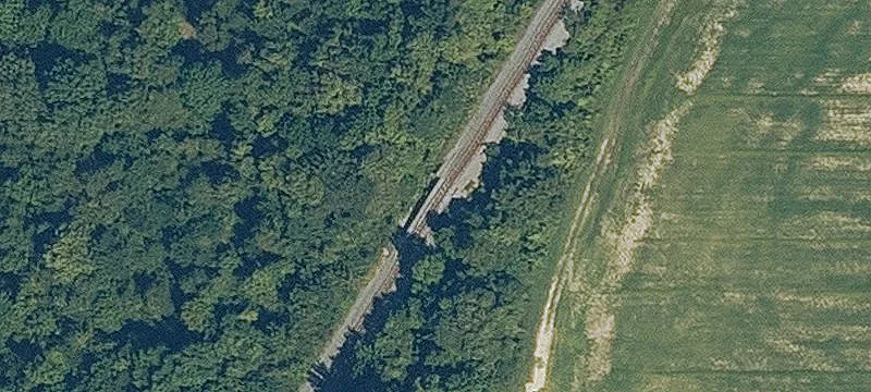 Rector, AR 72461