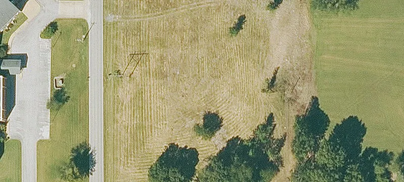 Arbor
