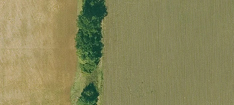 Sherrill, AR 72152