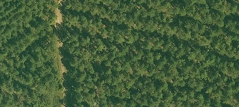 Portland, AR 71663