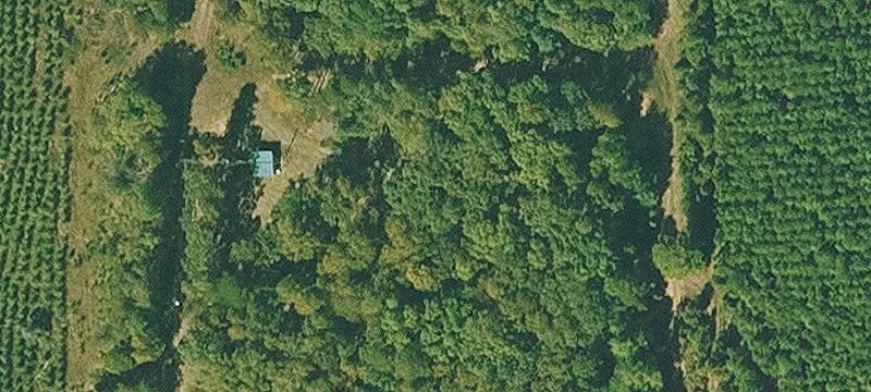 49 Towering Oaks Dr