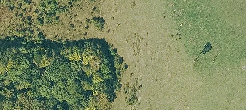 Jasper, AR 72641