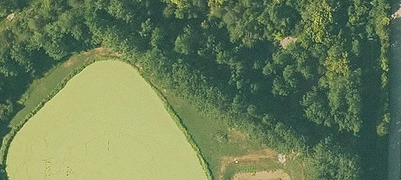 Griffin Rd
