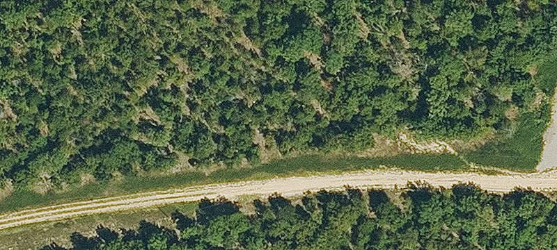 Corkwood Rd