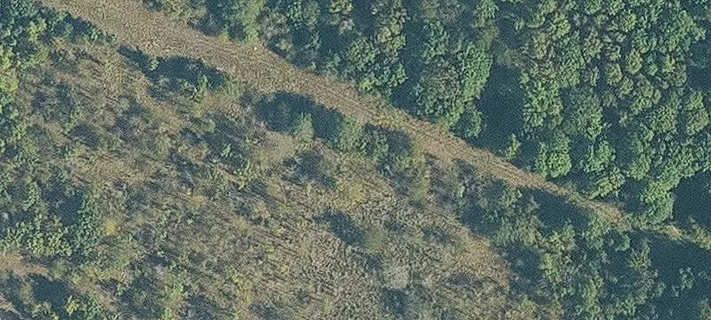 Forrest City, AR 72335