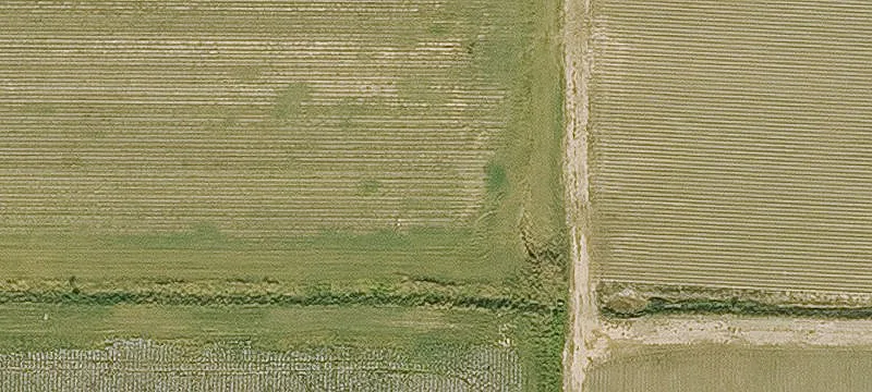 Altheimer, AR 72004
