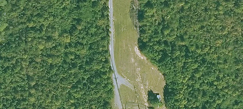 Shannon Rd