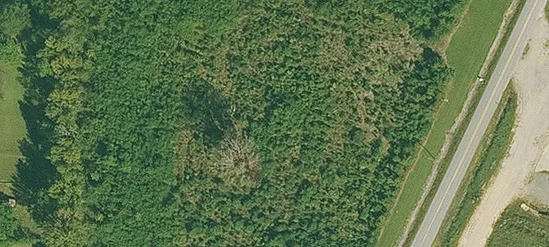 Ml Rd