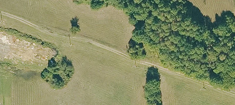 Taylor Rd